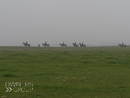 FB161021-1 - Fergal O'Brien Stable Visit